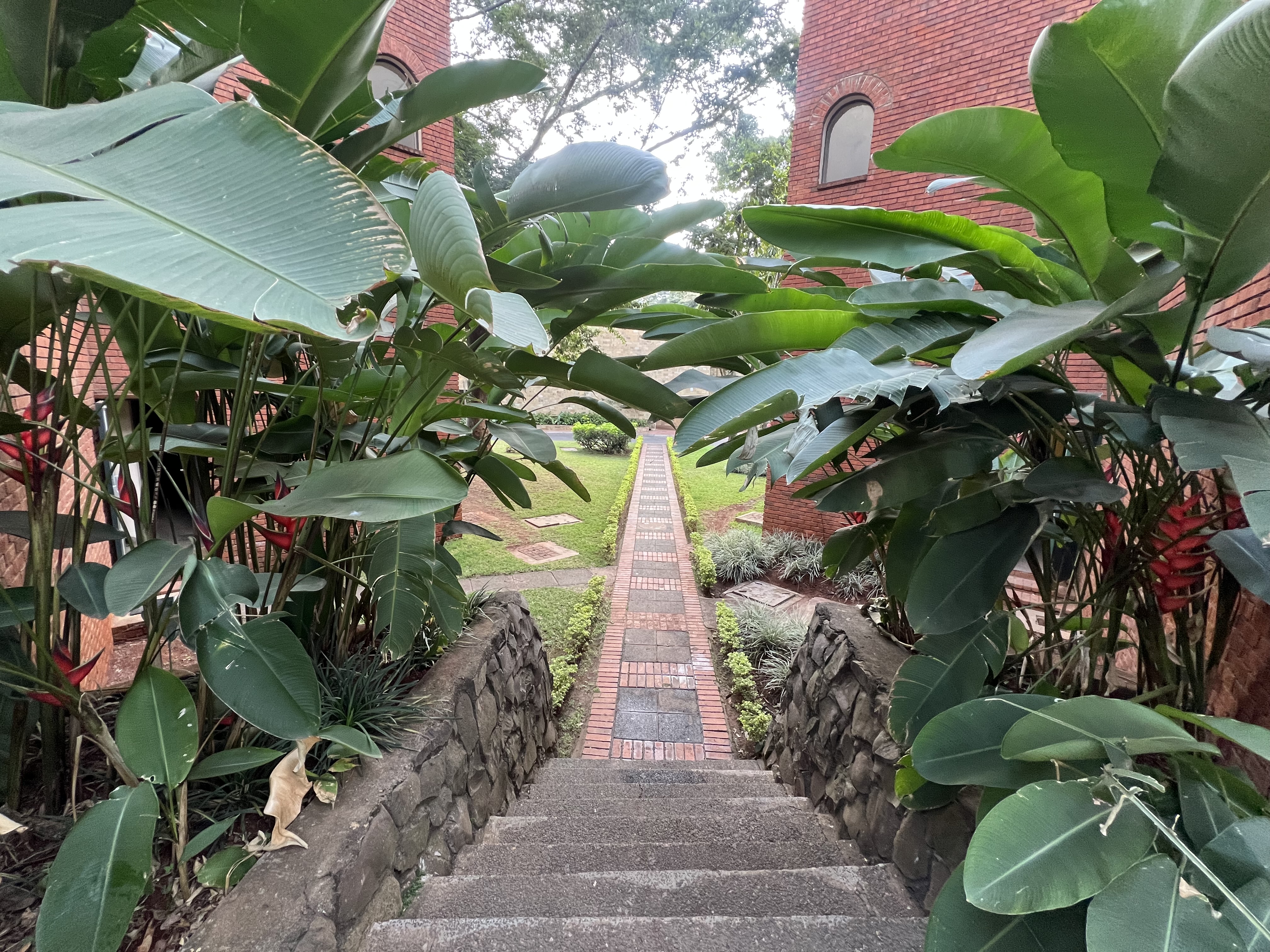 Charming 3 BR Duplex to let in Riverside - Image 3